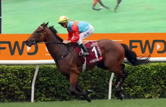 大乐透期号,专家推荐,玉龙骐妙宝,香港赛马会官网,赛程安排,赛果查询,马匹资料,赛事资讯
