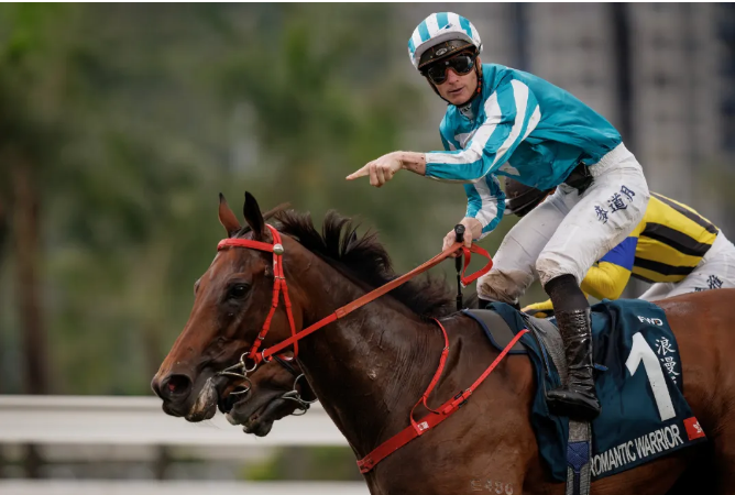 莫雷拉短期,回归香港马,大乐透期号,香港赛马会官网,赛程安排,赛果查询,马匹资料,赛事资讯