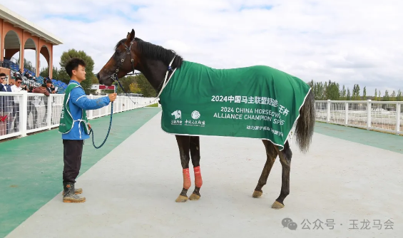 中国选手浪,漫勇士日本,安田纪念赛,香港赛马会官网,赛程安排,赛果查询,马匹资料,赛事资讯