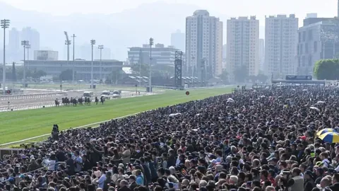 广州黄村国际马联星级赛事回归，奖金高达100万元